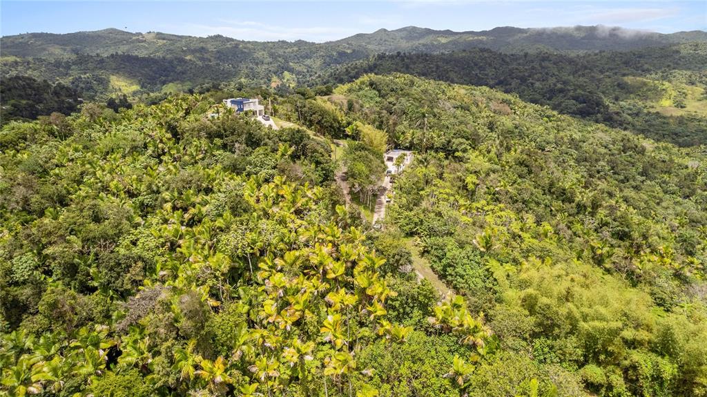 Km 14.7, Carr 179, Guayama - 4