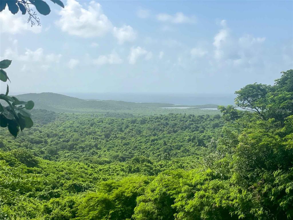 309, Calle Papo Foster, Vieques - 1