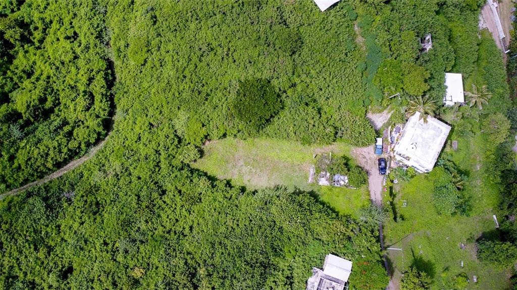 309, Calle Papo Foster, Vieques - 4