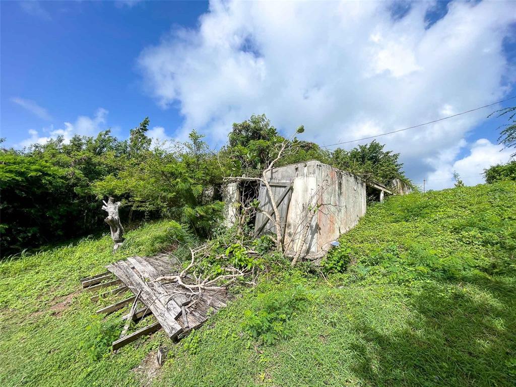 309, Calle Papo Foster, Vieques - 5