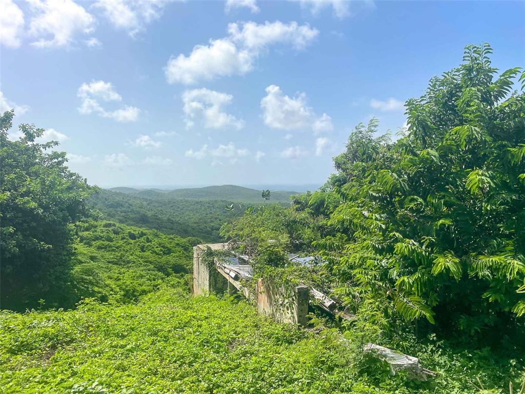 309, Calle Papo Foster, Vieques - 8