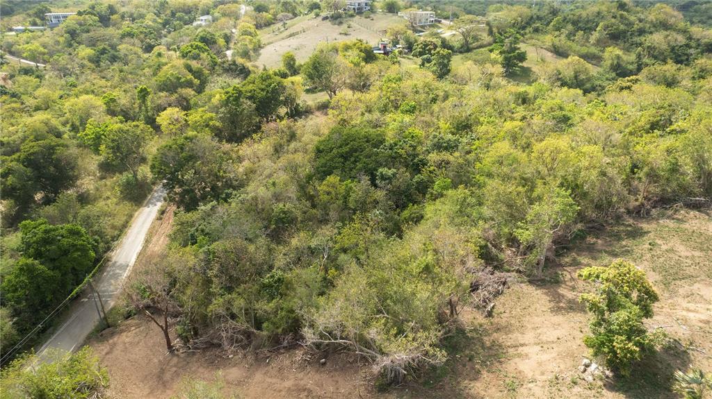 173, La Llave Road, Vieques - 5