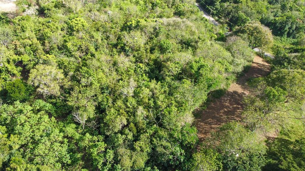 173, La Llave Road, Vieques - 6