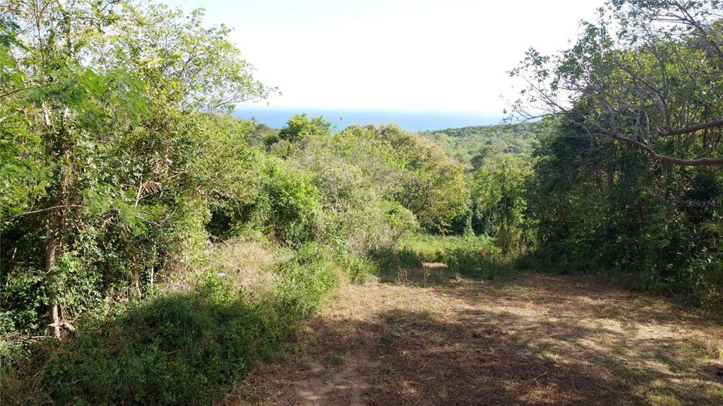 173, La Llave Road, Vieques - 7