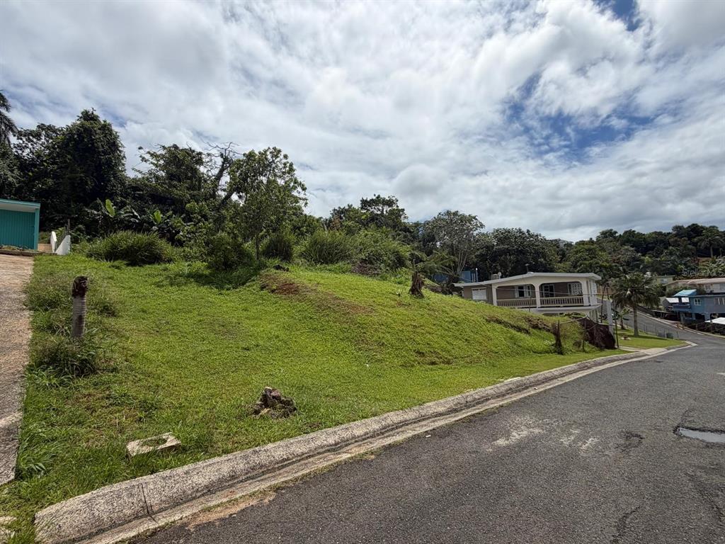 Villa Encantada, 4.4 Carr 787, Cidra - 7