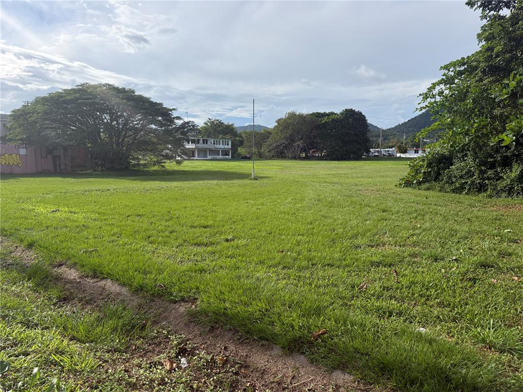 901, Antg Rest Bordelais, Maunabo - 22