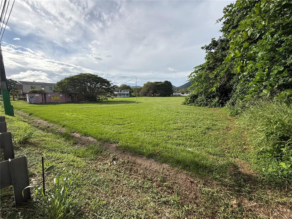 901, Antg Rest Bordelais, Maunabo - 23