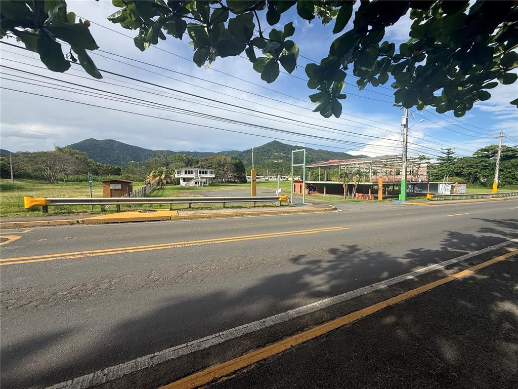 901, Antg Rest Bordelais, Maunabo - 25