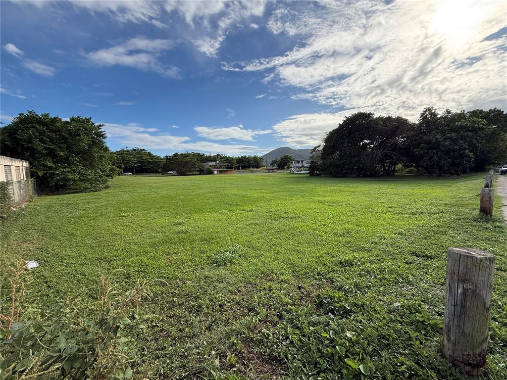 901, Antg Rest Bordelais, Maunabo - 7