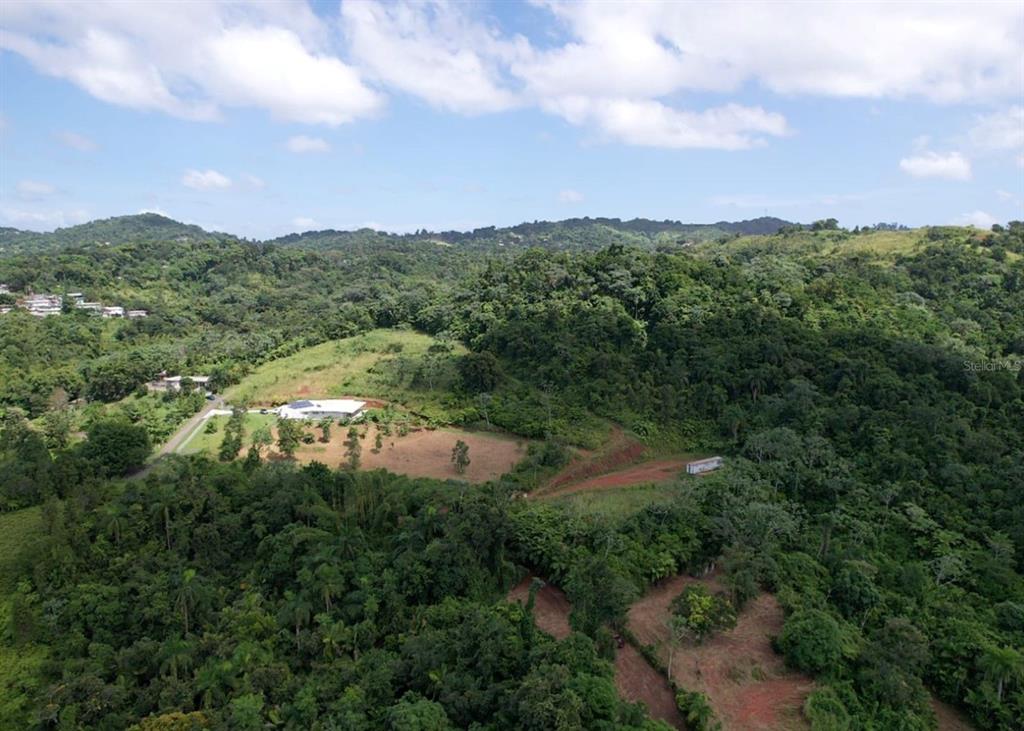 14, Camino Frank Ortiz Km 12.3, Mayaguez - 11