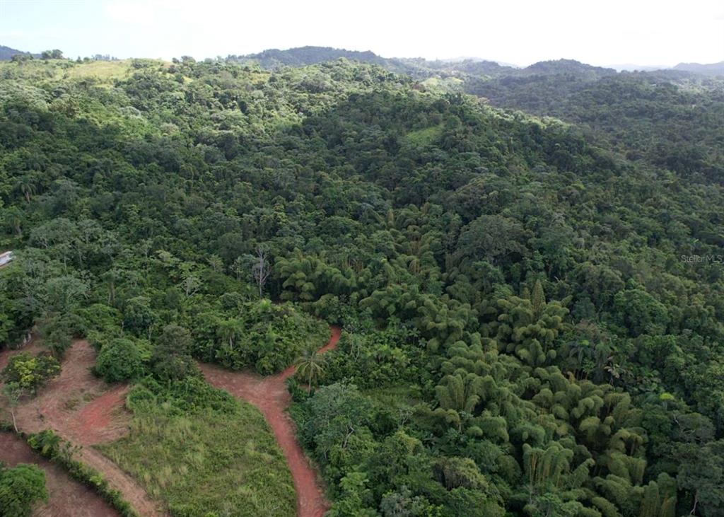 14, Camino Frank Ortiz Km 12.3, Mayaguez - 14
