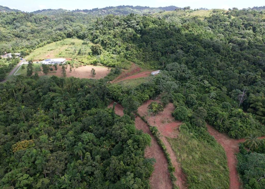 14, Camino Frank Ortiz Km 12.3, Mayaguez - 4