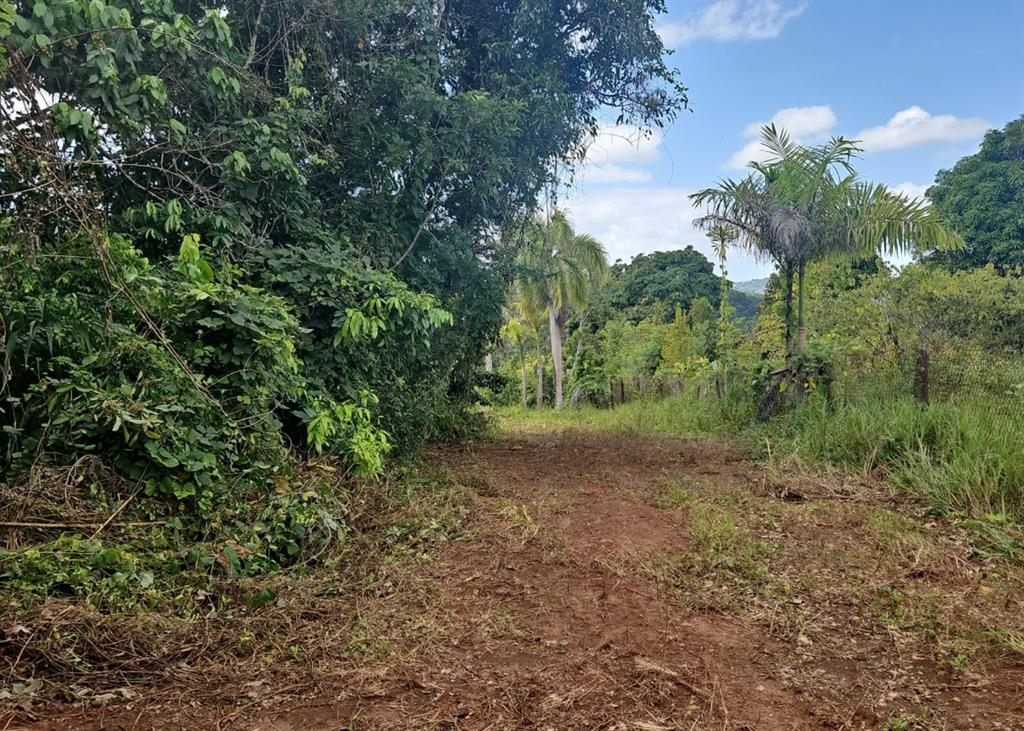 14, Camino Frank Ortiz Km 12.3, Mayaguez - 5