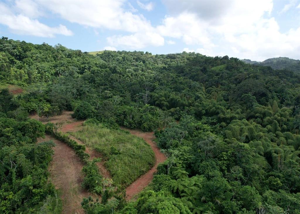 14, Camino Frank Ortiz Km 12.3, Mayaguez - 9