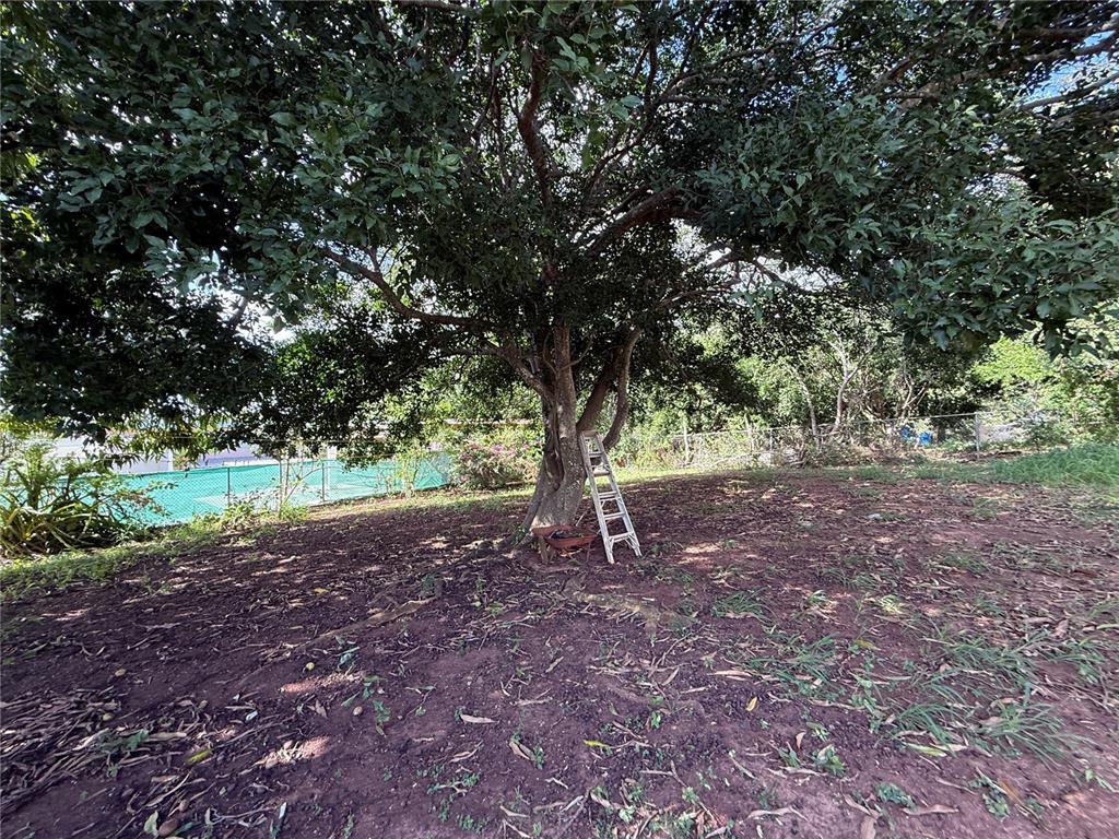 Sr 101 Km 16.3, Angelo Zapata St, Llanos Costa Ward, Cabo Rojo - 53