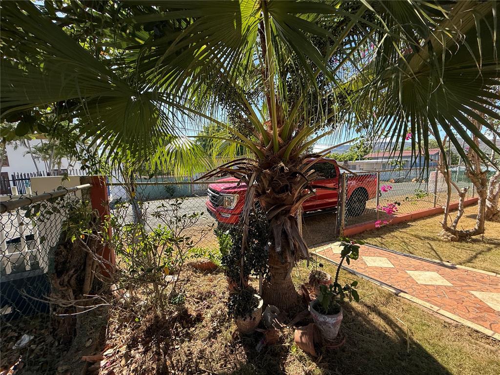 Sr 101 Km 16.3, Angelo Zapata St, Llanos Costa Ward, Cabo Rojo - 66