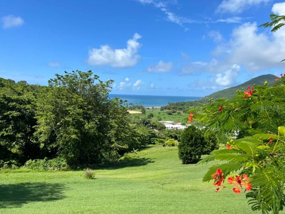 901, Amazing View House, Maunabo - 3