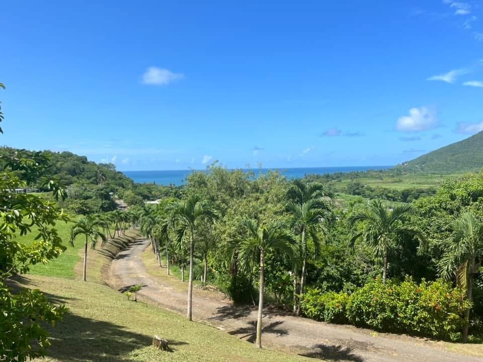 901, Amazing View House, Maunabo - 4