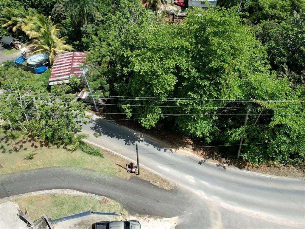 Carr 568 Km 30.3 Int, Carr 568 Km 30.3 Int, Corozal, Pr 00783, Corozal - 16
