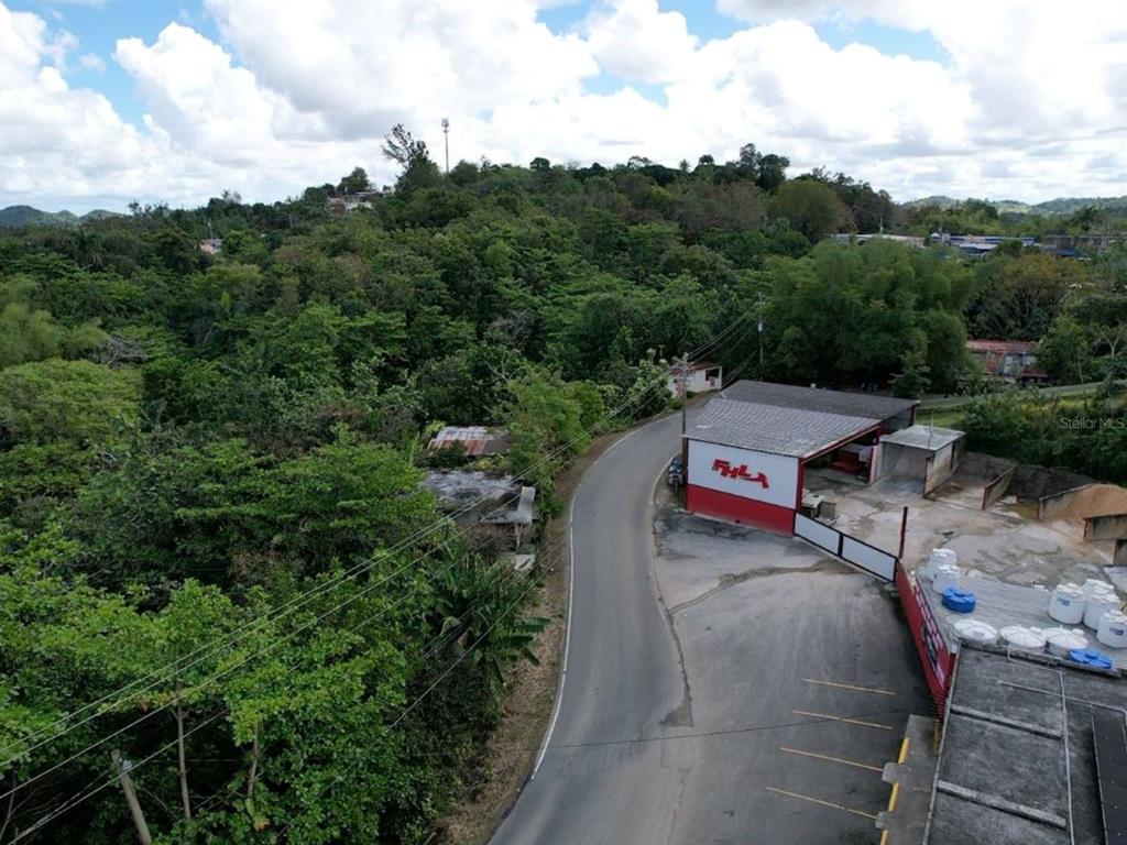 Carr 568 Km 30.3 Int, Carr 568 Km 30.3 Int, Corozal, Pr 00783, Corozal - 18