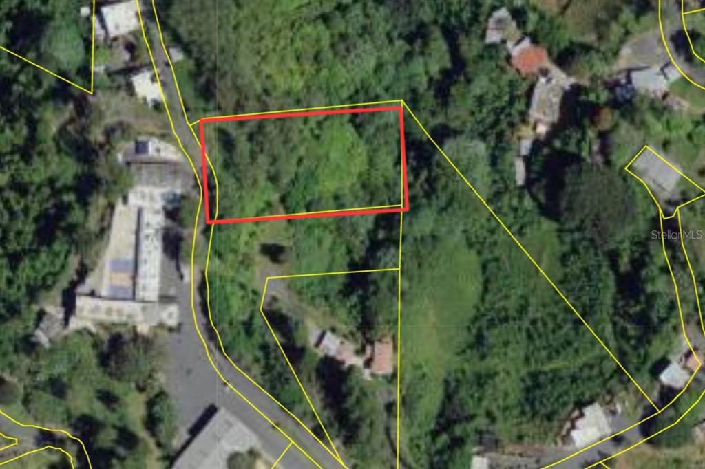 2, St. 809, Cedro Arriba Sector Santa Teresita Ii, Naranjito - 12