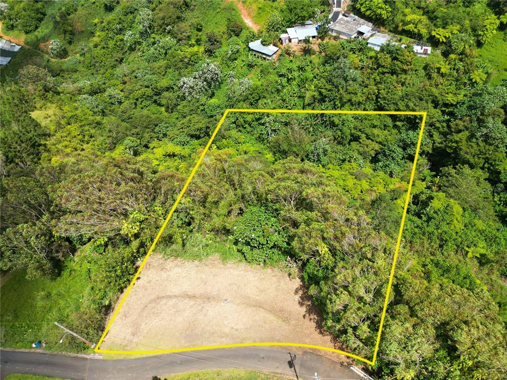 2, St. 809, Cedro Arriba Sector Santa Teresita Ii, Naranjito - 2