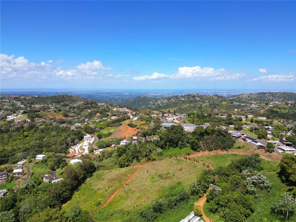 2, St. 809, Cedro Arriba Sector Santa Teresita Ii, Naranjito - 8