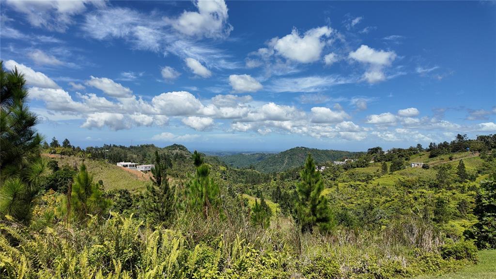 Carr, 155 Km 33.1 Int Bo. Gato, Orocovis - 2