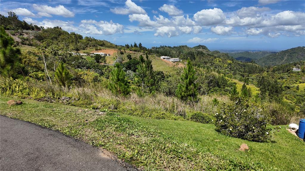 Carr, 155 Km 33.1 Int Bo. Gato, Orocovis - 3