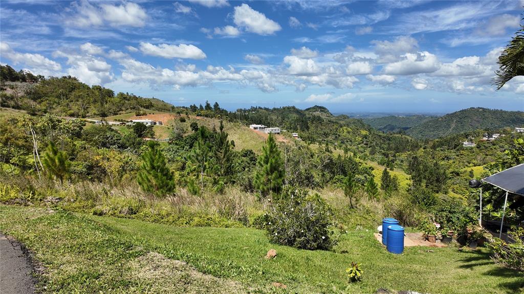 Carr, 155 Km 33.1 Int Bo. Gato, Orocovis - 4
