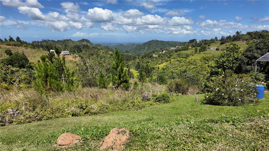 Carr, 155 Km 33.1 Int Bo. Gato, Orocovis - 5