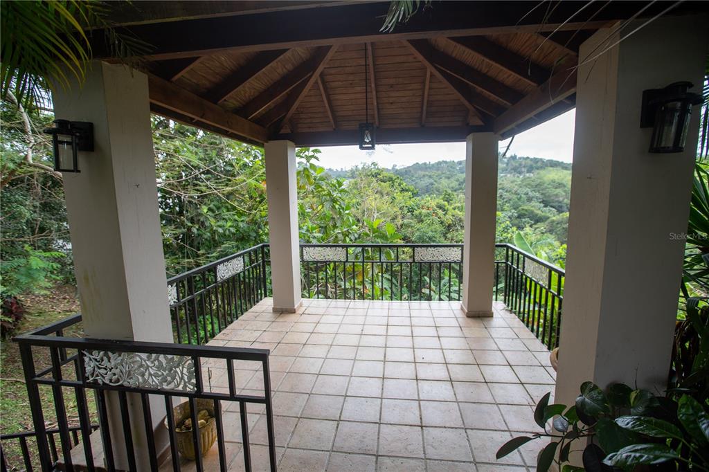 Finquitas, Del Monte, Cidra - 14