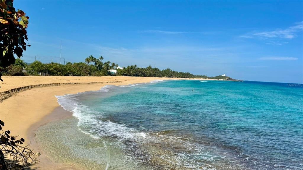 A11, Bo Islote, Costa Atlantico, Arecibo - 42