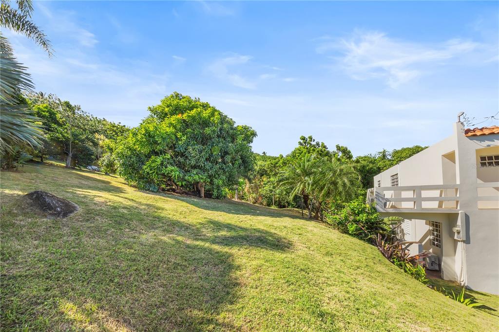 39, Bo. Camino Nuevo, Yabucoa - 25