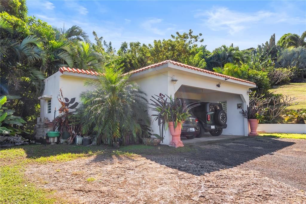 39, Bo. Camino Nuevo, Yabucoa - 27