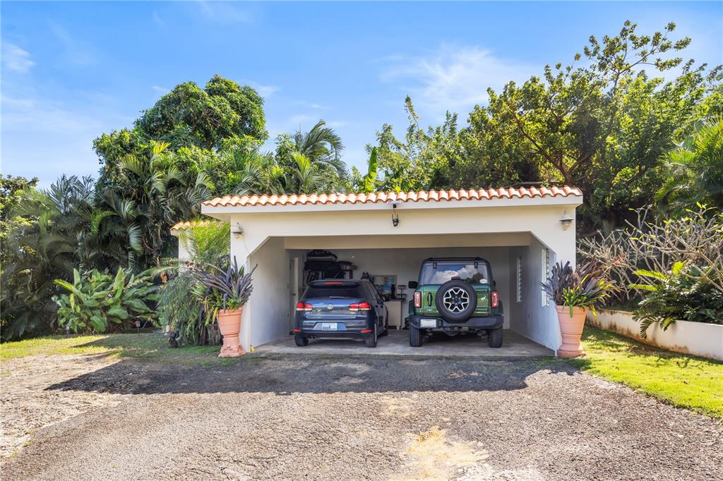 39, Bo. Camino Nuevo, Yabucoa - 28