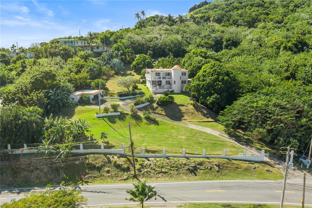 39, Bo. Camino Nuevo, Yabucoa - 31