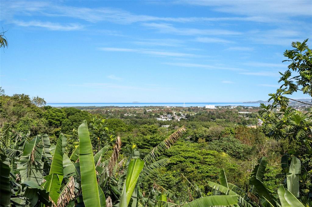 Bo Rio Hondo, Solar 6, Pr, Puerto Rico,00680, Mayaguez - 27