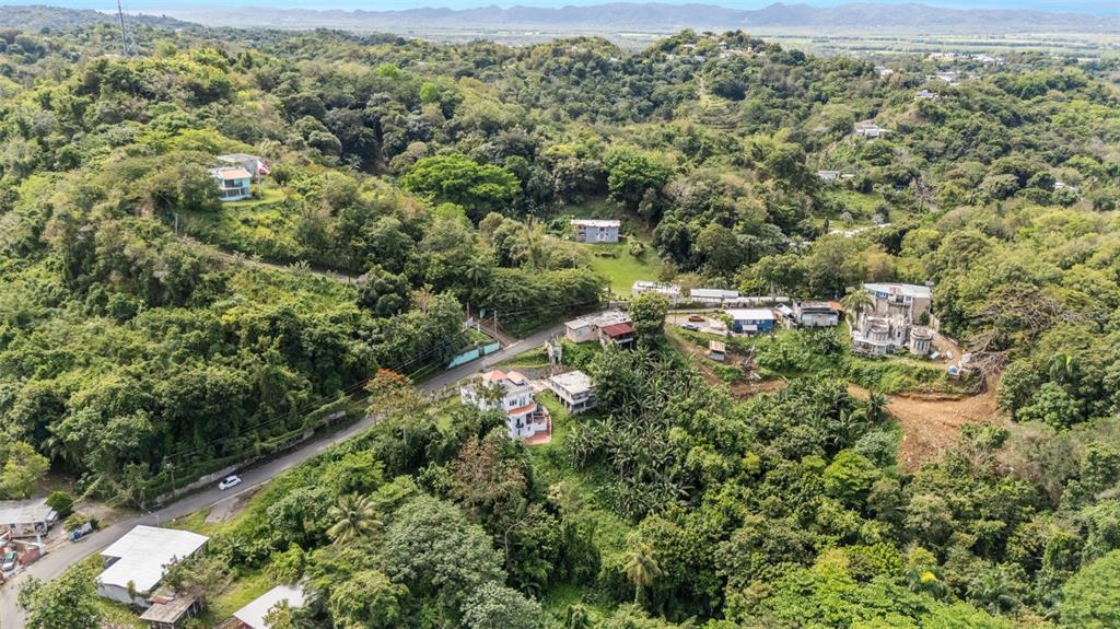 Bo Rio Hondo, Solar 6, Pr, Puerto Rico,00680, Mayaguez - 32