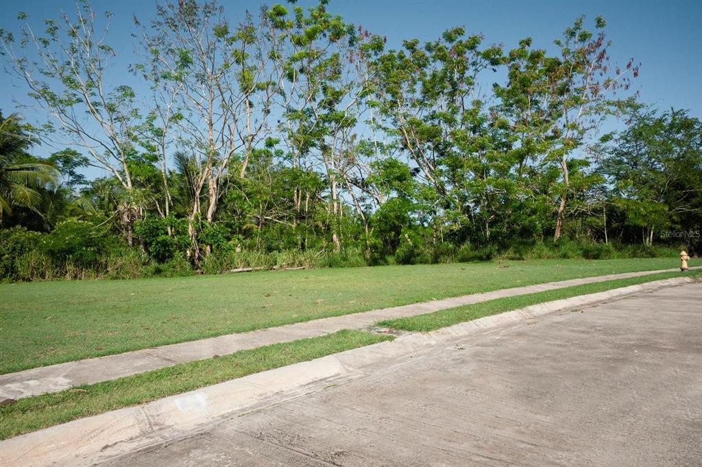 Veredas Del Mar, Cabo Rojo - 5