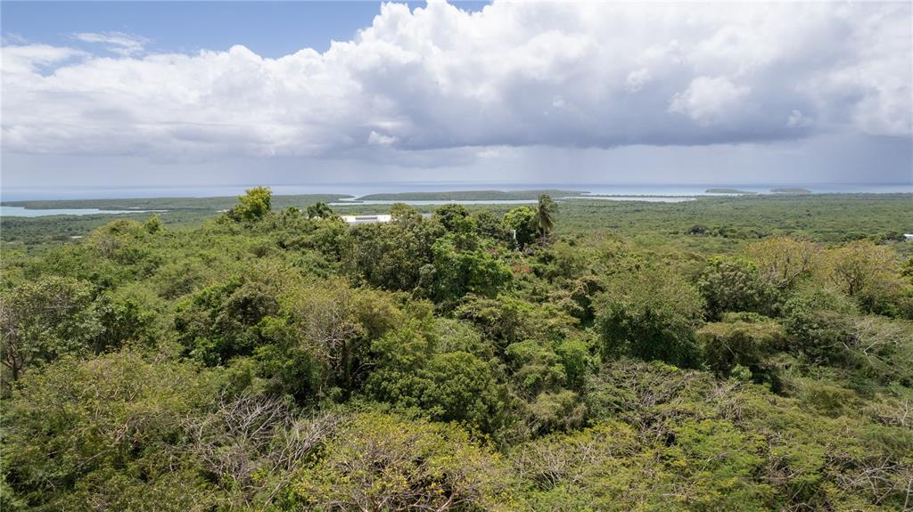 18, Calle 16, Vieques - 9