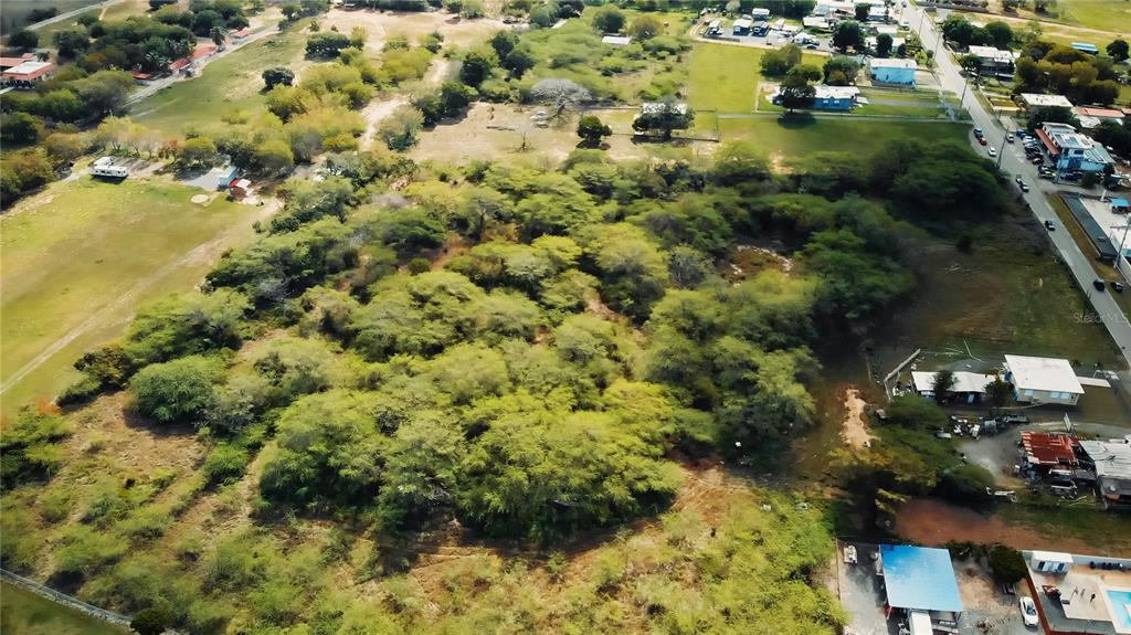 Bo. Corozo, Combate,  Carr. 301 Km Hm 7.0, Cabo Rojo - 5