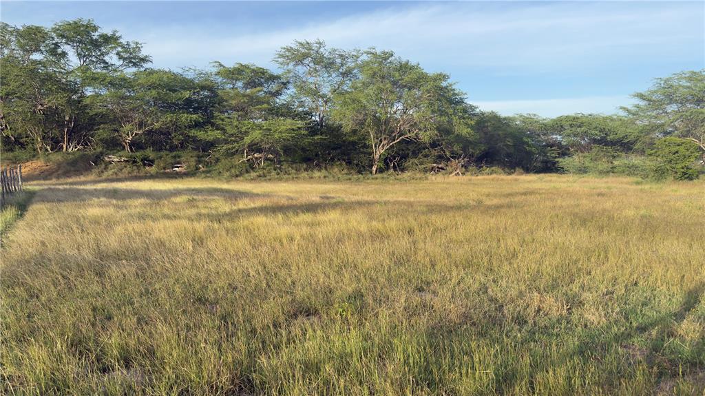 Bo. Corozo, Combate,  Carr. 301 Km Hm 7.0, Cabo Rojo - 8