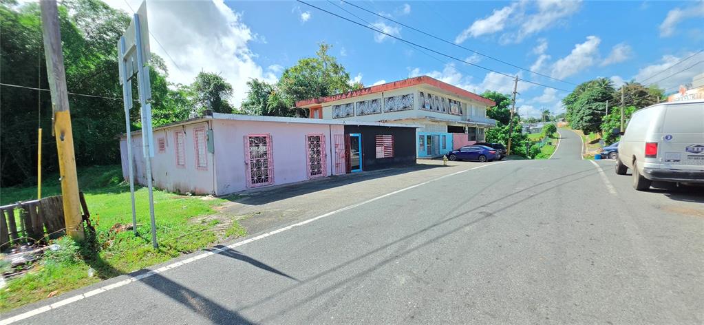 Carr #160, Almirante, Vega Baja - 10