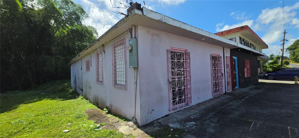 Carr #160, Almirante, Vega Baja - 16