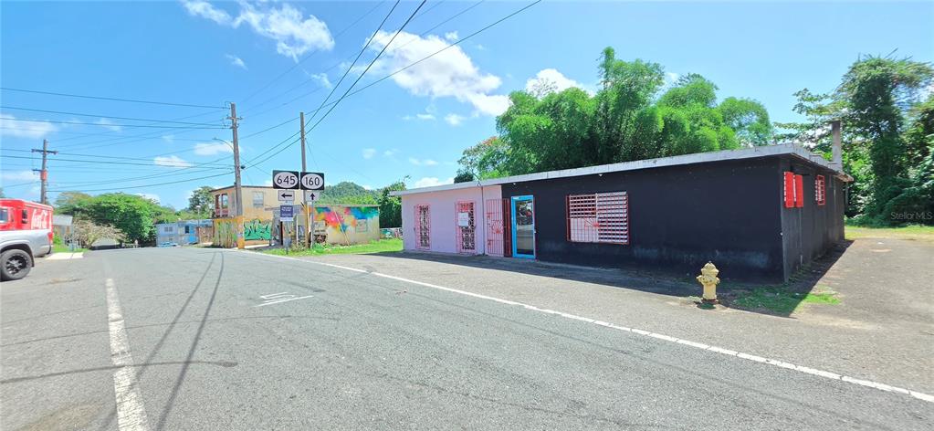 Carr #160, Almirante, Vega Baja - 2