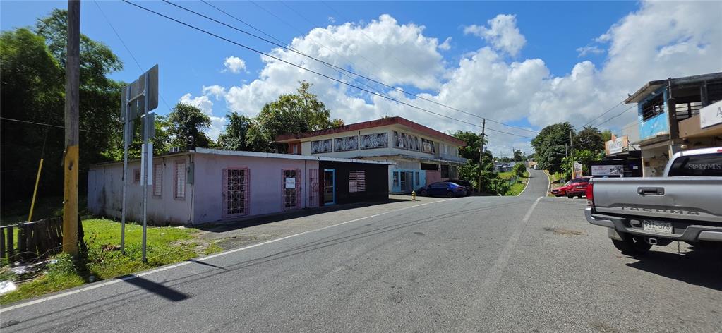 Carr #160, Almirante, Vega Baja - 4