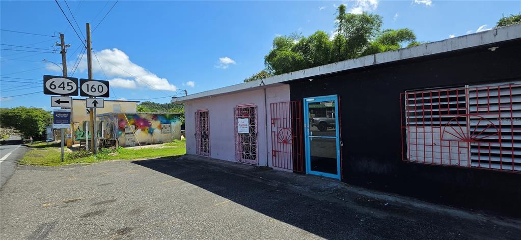 Carr #160, Almirante, Vega Baja - 6