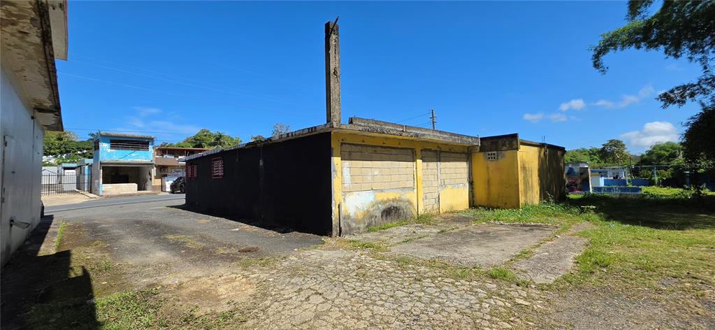 Carr #160, Almirante, Vega Baja - 9
