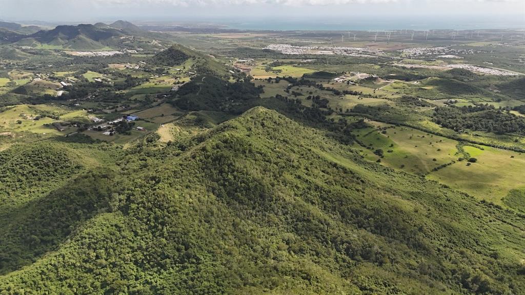 2565, Pr545, Coamo - 4
